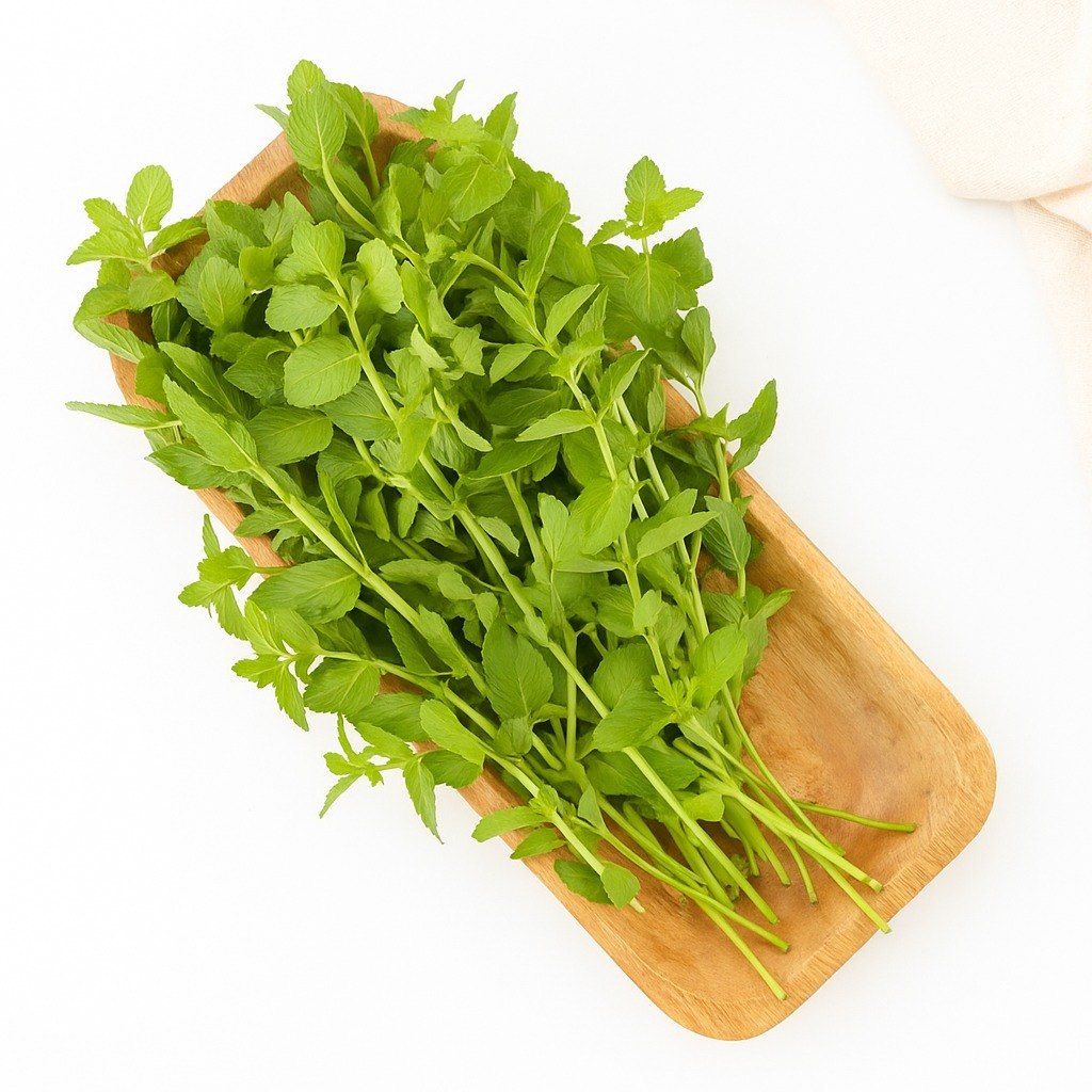 Fresh Pudina (Mint)